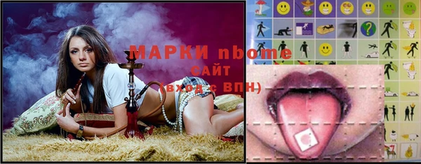 индика Алапаевск