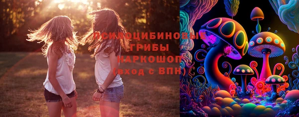 синтетический гашиш Алексин