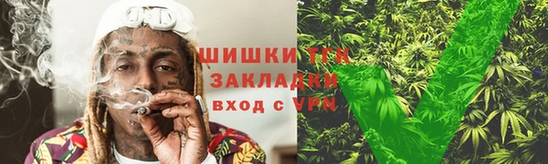 индика Аксай